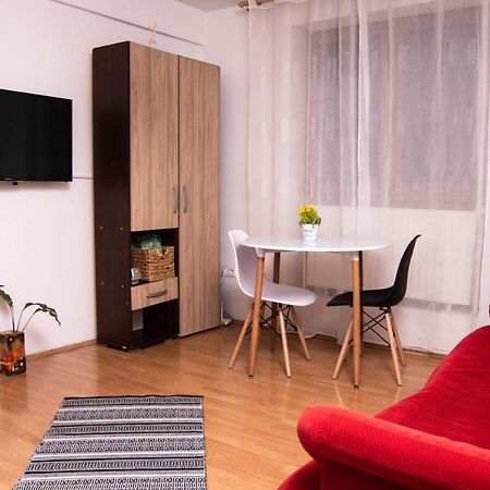 Butterfly Apartment-Hidden Gem In The Heart Of Târgu-Mureş 外观 照片